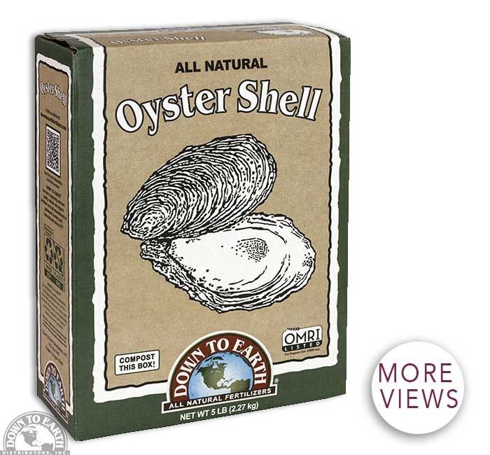 Oyster Shell, Size: 5 lb