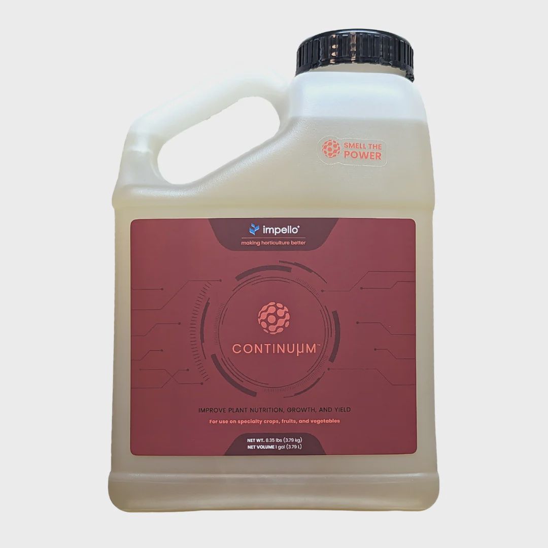 Continuum V2, Size: 1 gal