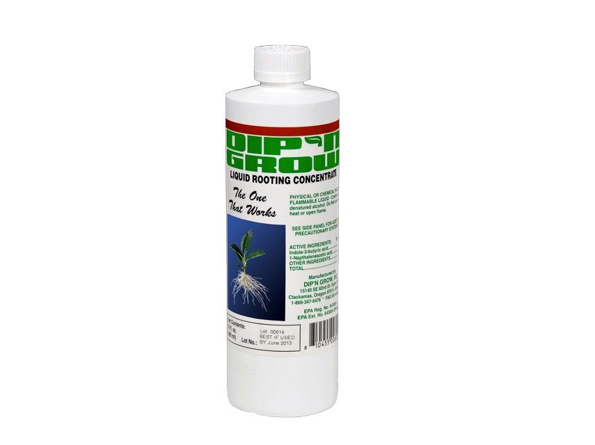 Dip 'n Grow Rooting Conc., Size: 1 pt