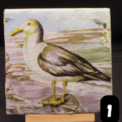 Seaside/Ocean Artistic Coasters