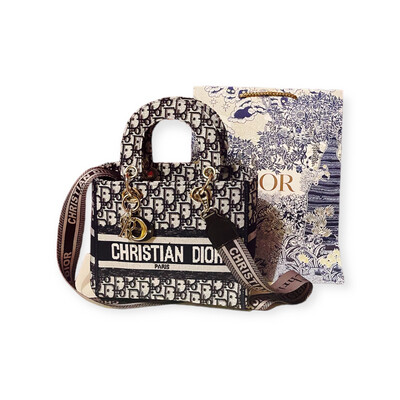 Christian Dior Lady-lite bag
