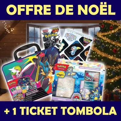 🎄Offre de Noël #03