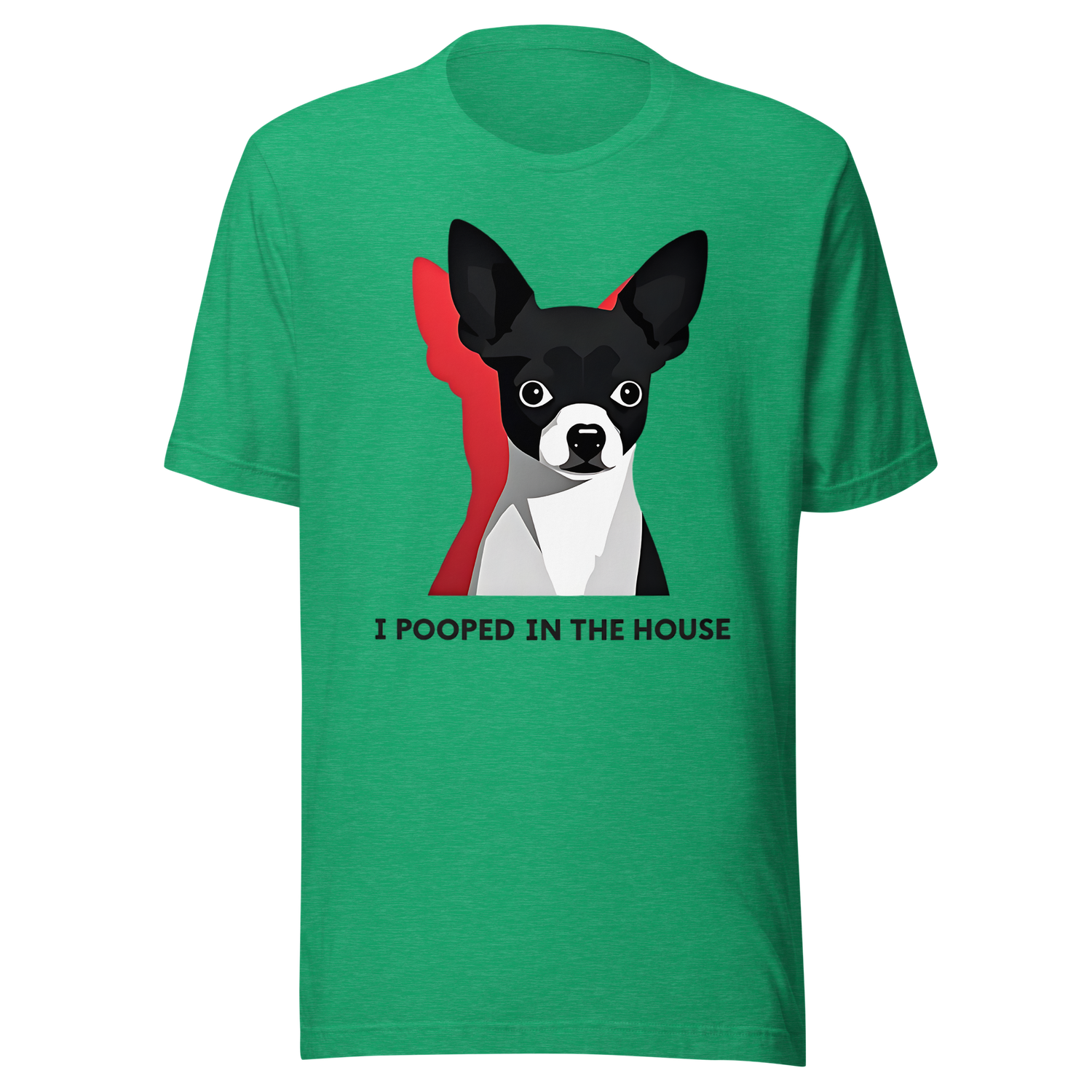 I Pooped In The House