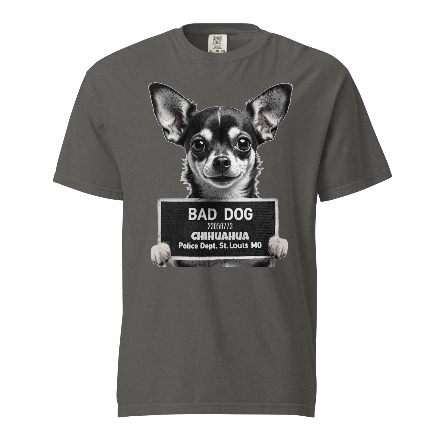 Bad Dog Chihuahua