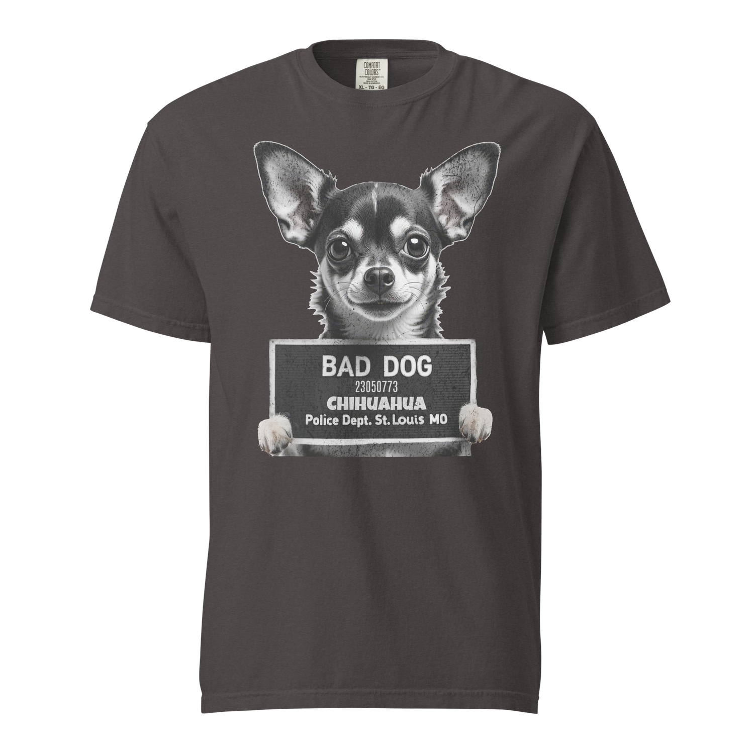 Bad Dog Chihuahua