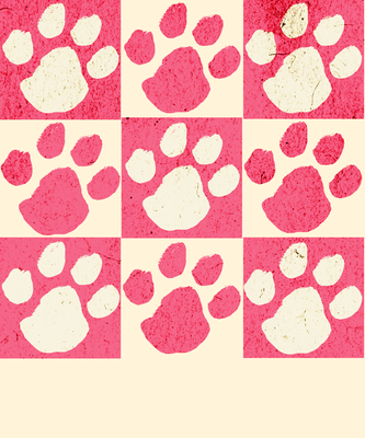 Pink Paws &amp; Puppy Love