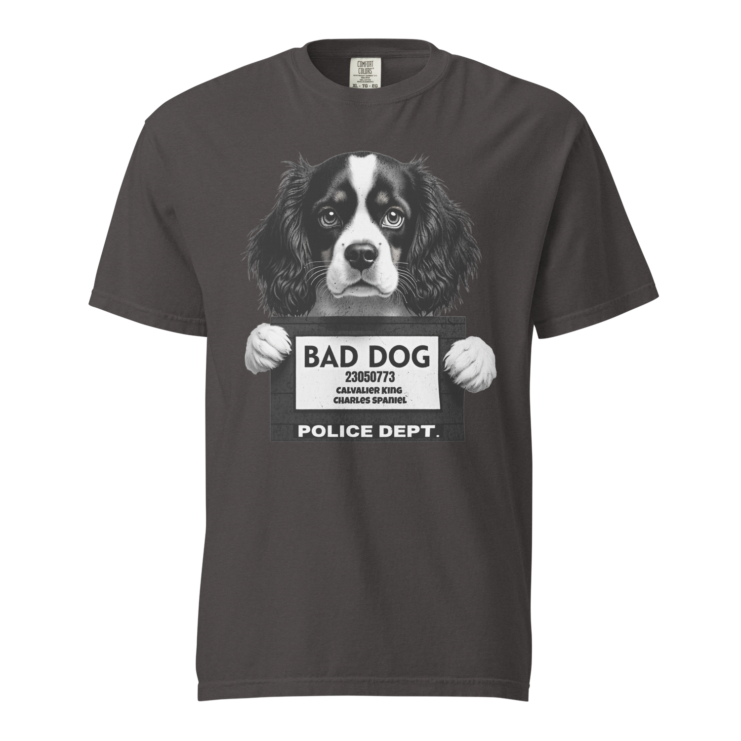 Bad Dog Cavalier King Charles Spaniel