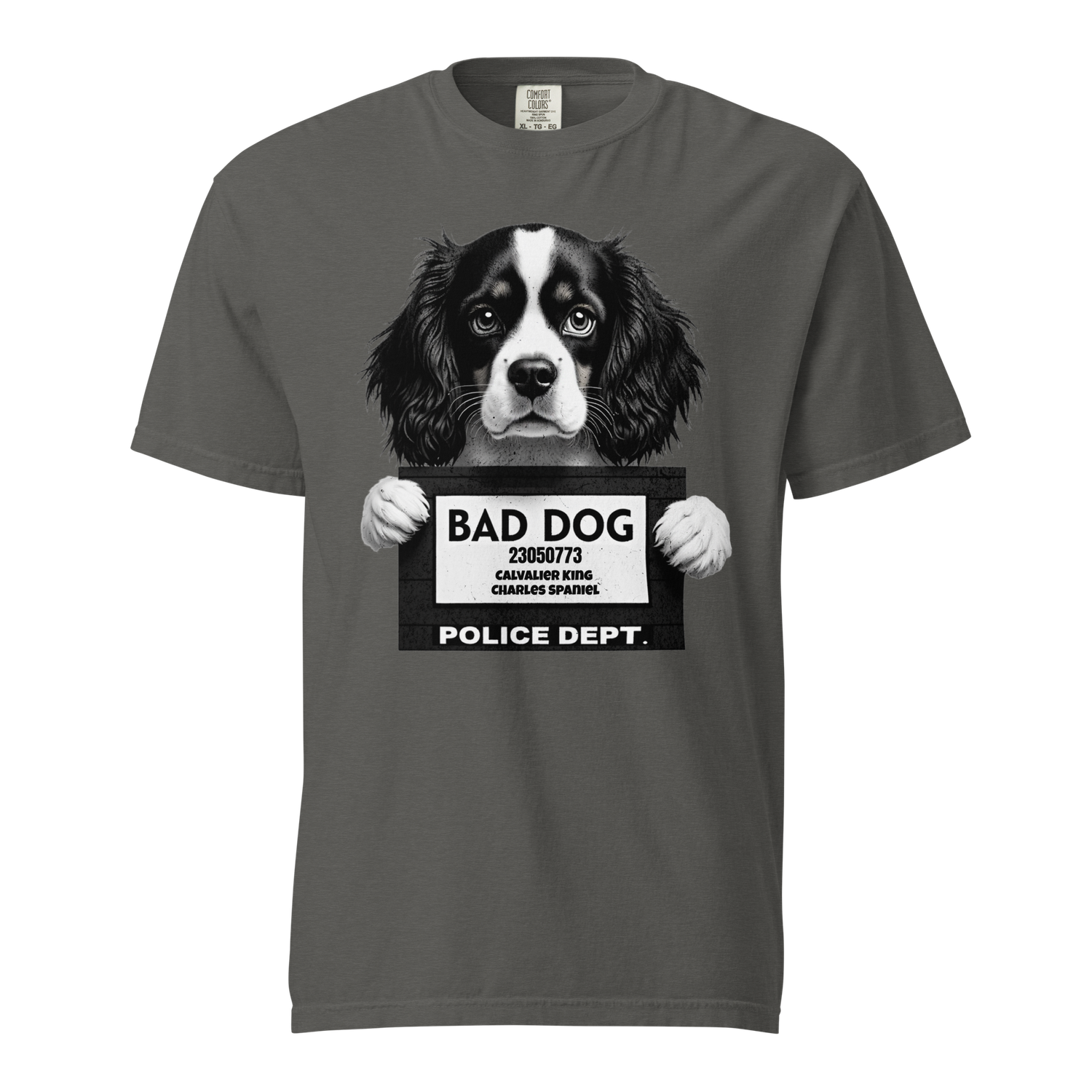 Bad Dog Cavalier King Charles Spaniel