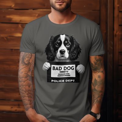 Bad Dog Cavalier King Charles Spaniel