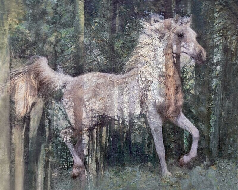 Spirit Horse | Fine Art Print