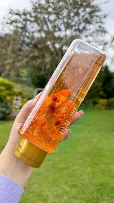 SHAMPOO BOTÁNICO