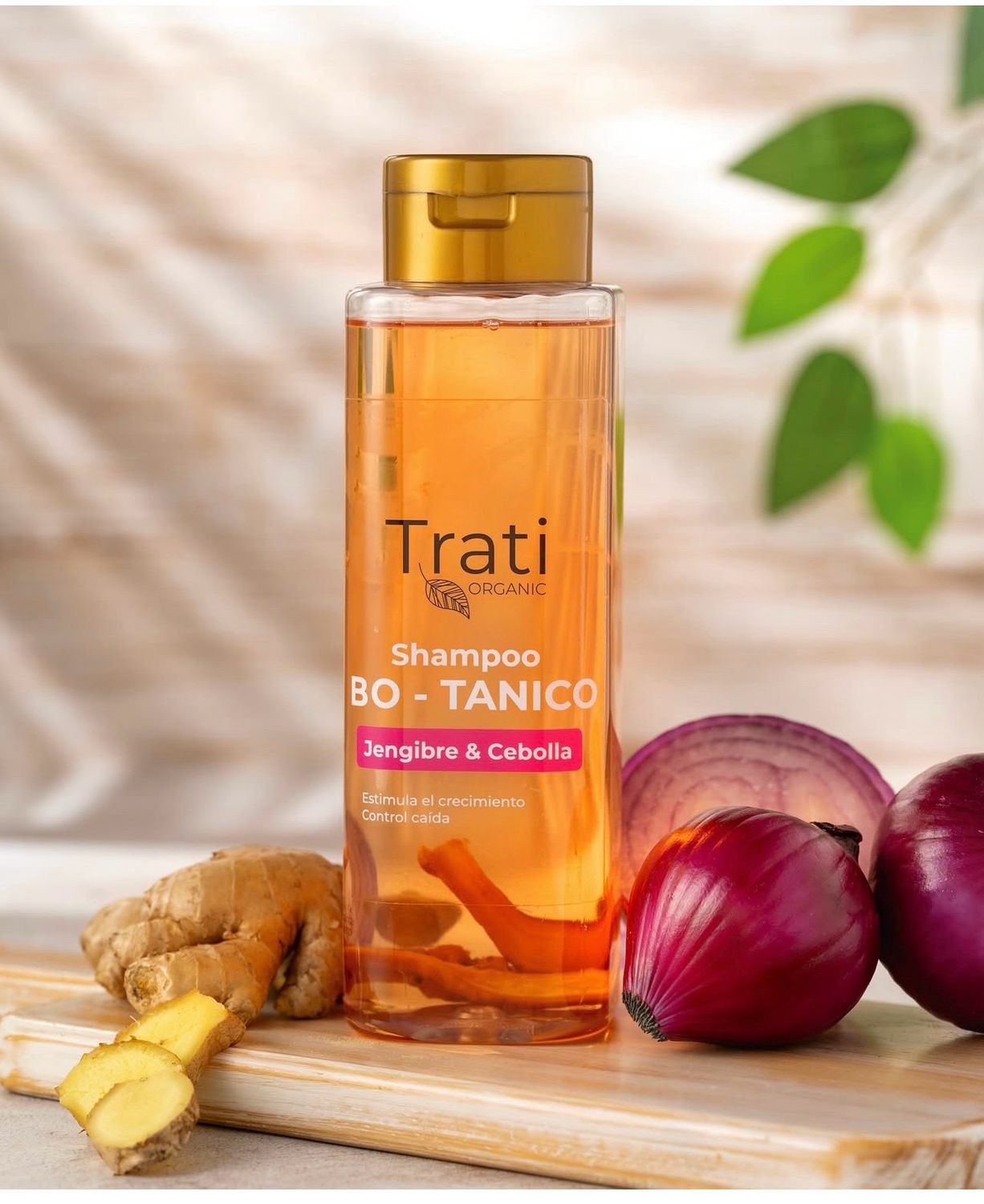 SHAMPOO BOTÁNICO