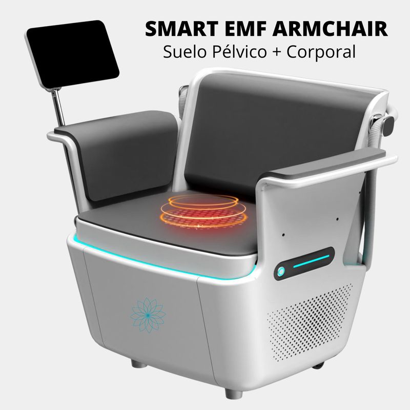 SMART EMF ARMCHAIR 2 en 1