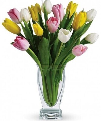 Trésor de tulipes