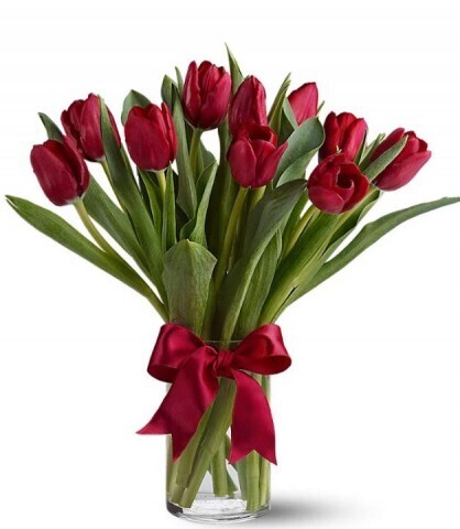 Tulipes rouges éclatantes