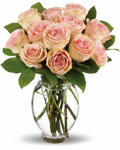 Delicate Dozen
