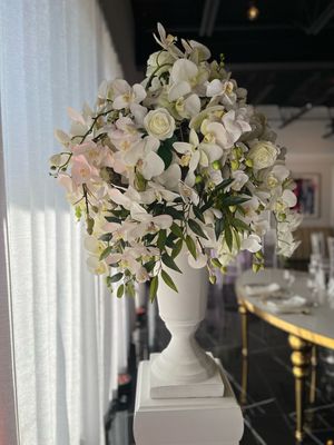 Orchi in urn vase