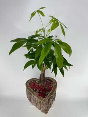 The Tree of Prosperity