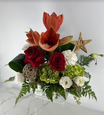 Amaryllis au centre de la table