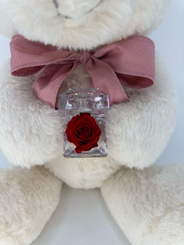 Teddy
