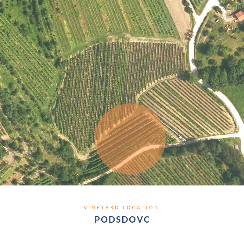 MUŠKAT  YELLOW MUSCAT