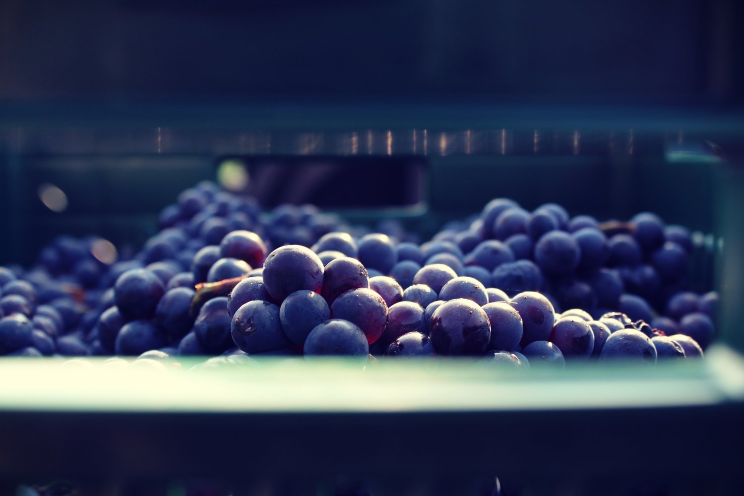 Grapes