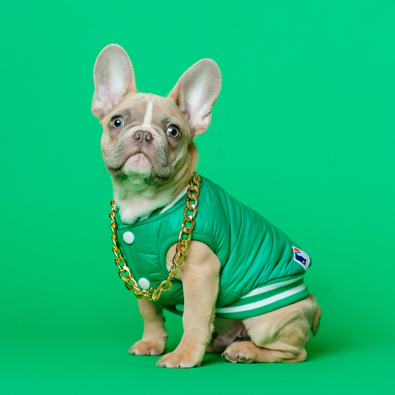 SAMPLE. Green Dog Sleeveless Jacket