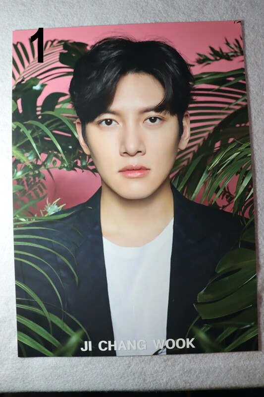 Posters JI CHANG WOOK - 7 Modèles Uniques