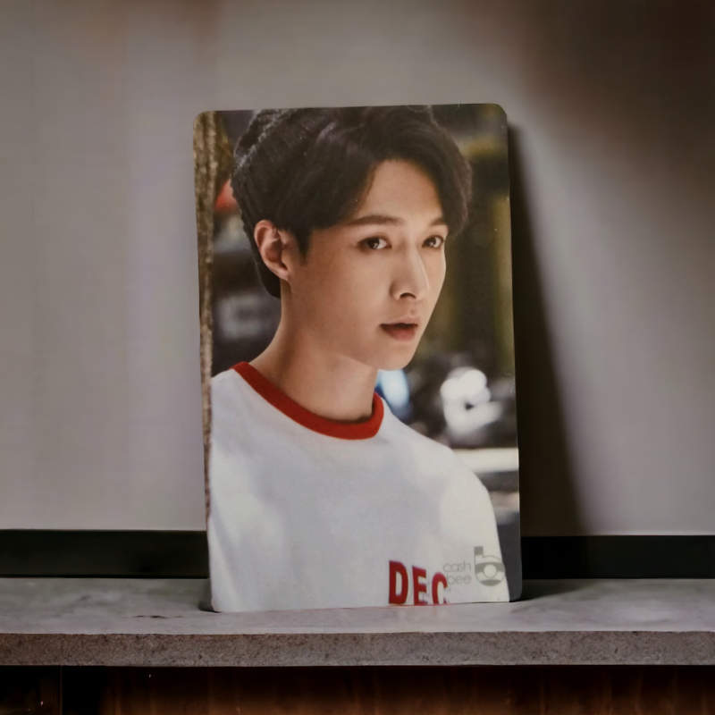 Carte de Transport EXO LAY Cashbee
