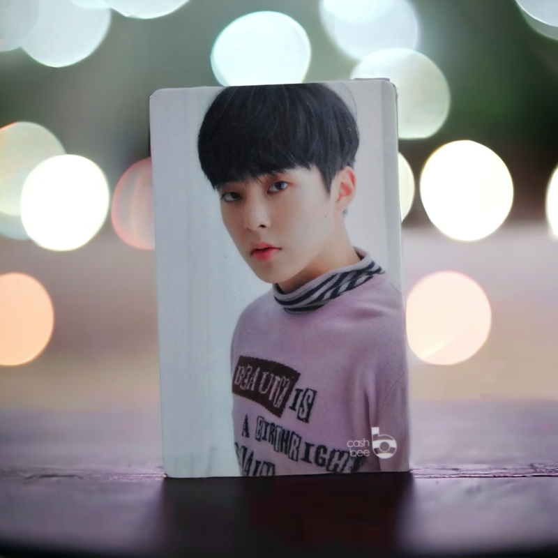 Carte de Transport EXO XIUMIN Cashbee