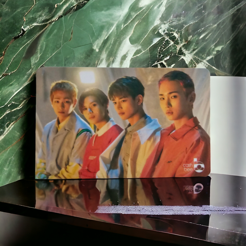 Carte de Transport SHINEE Cashbee