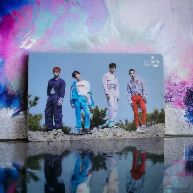 Carte de Transport SHINEE Cashbee