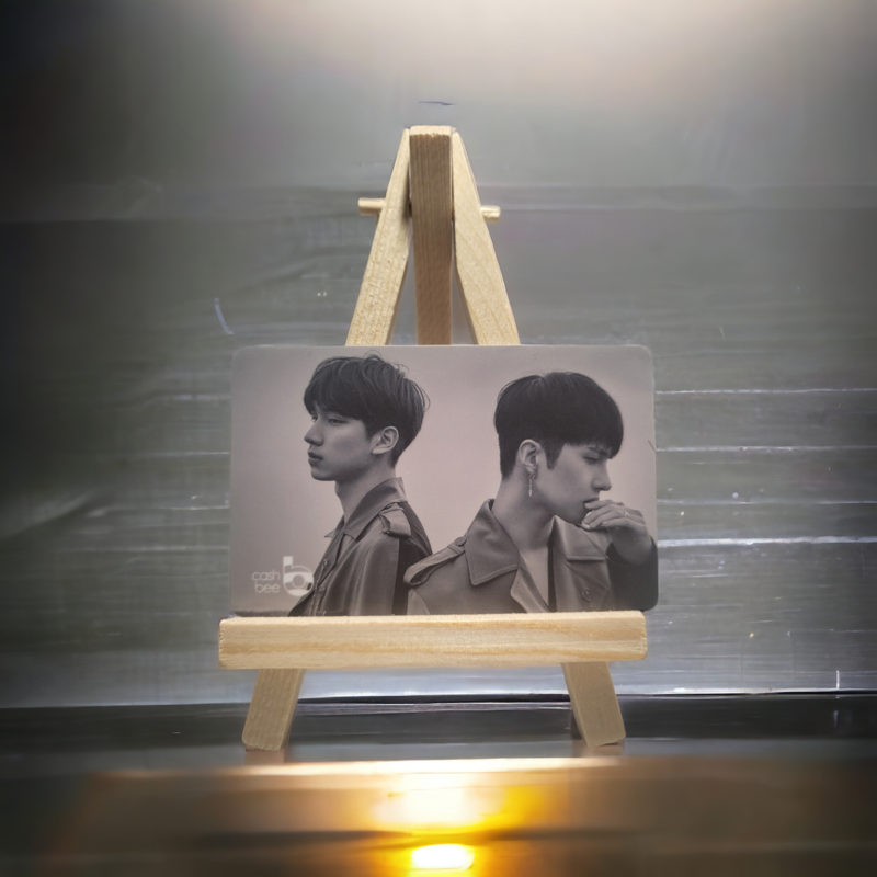 Carte de Transport VIXX Cashbee