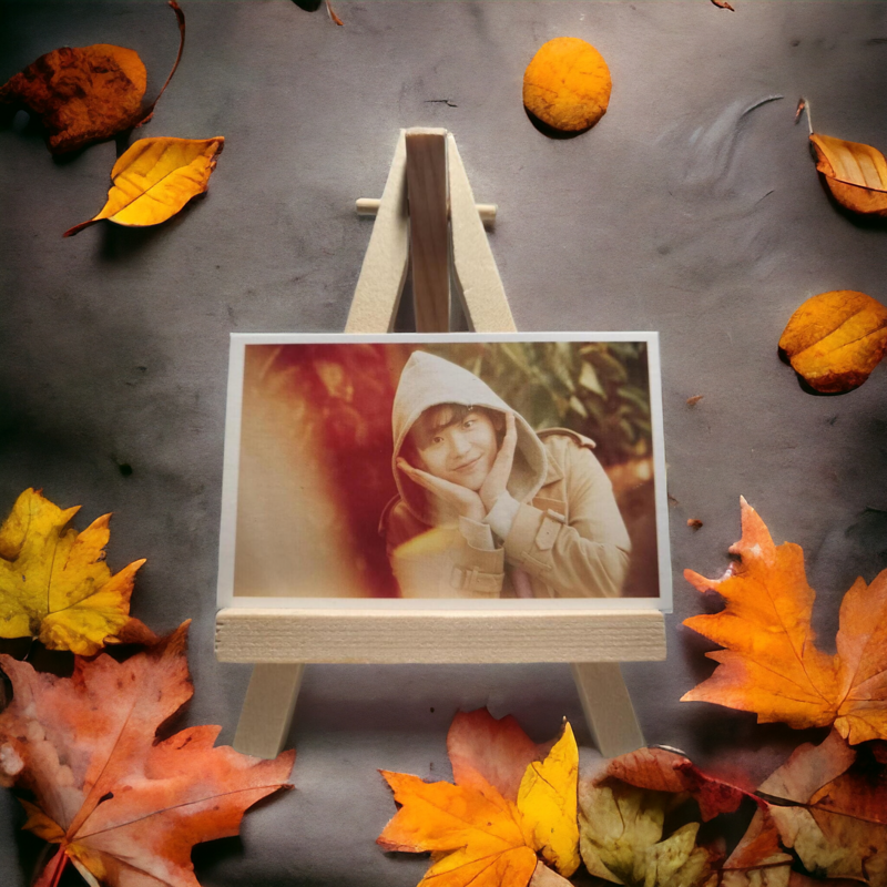 LEE JONG SUK Lomo Card Série 2 - 15 Modèles Uniques