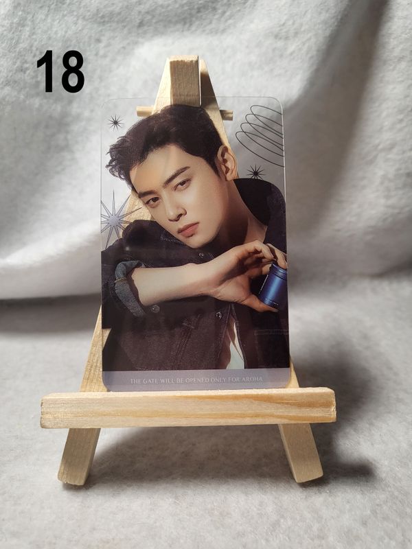 Cartes transparentes Cha Eun-Woo – Un indispensable pour les fans de K-Drama et K-Pop