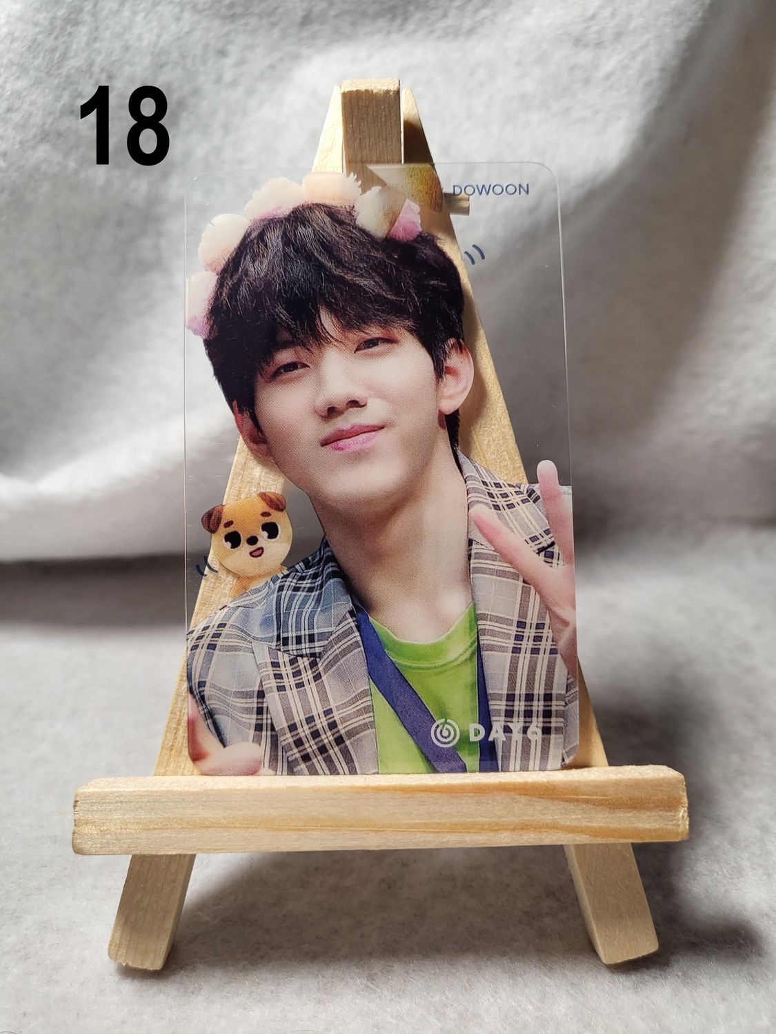 Cartes transparentes DAY6 – Pour les fans de K-Rock et K-Pop