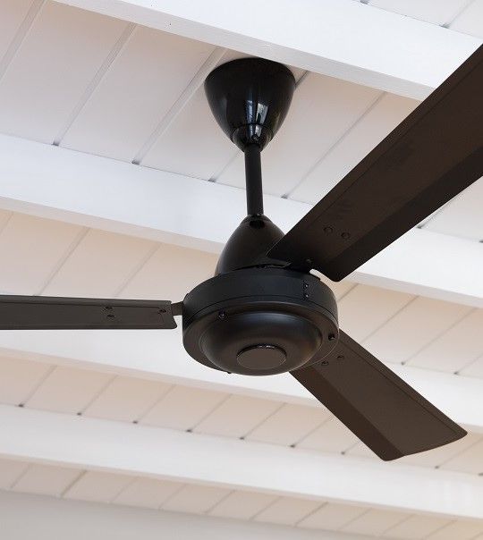 Ventilador de teto