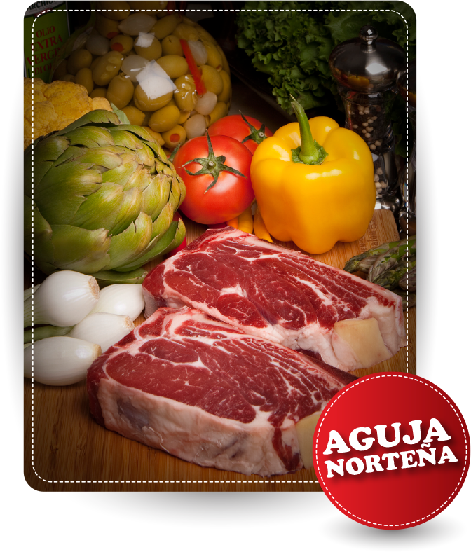 Aguja Norteña