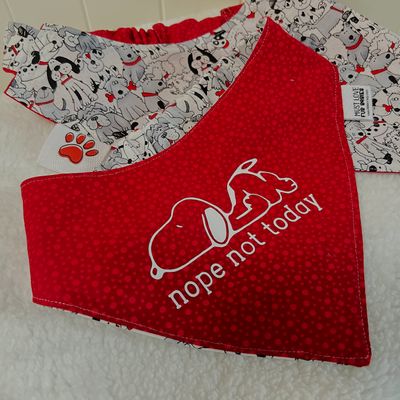 BANDANAS
