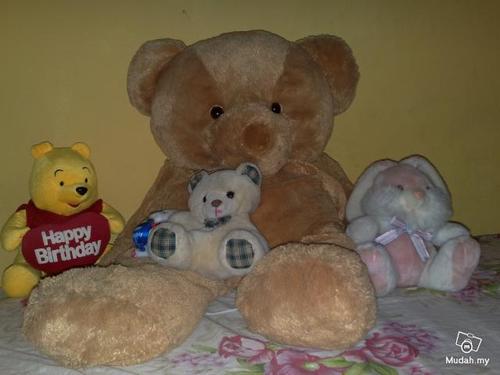 TEDDY BEAR