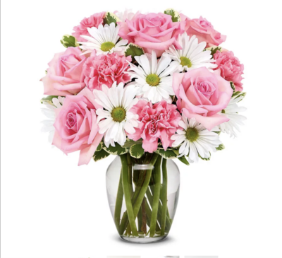 Serenity Blooms