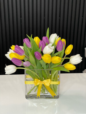 Tulips coquette