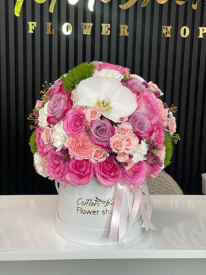 Harmony in Bloom  White box