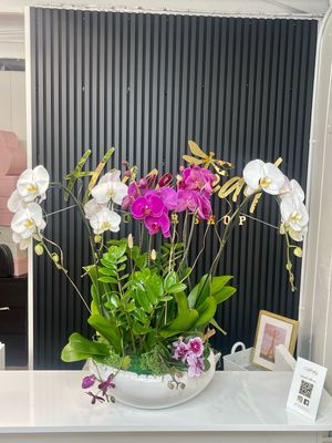 Amazing Orchid Arrangement