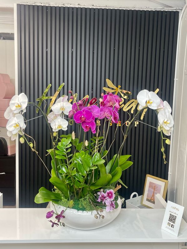 Amazing Orchid Arrangement