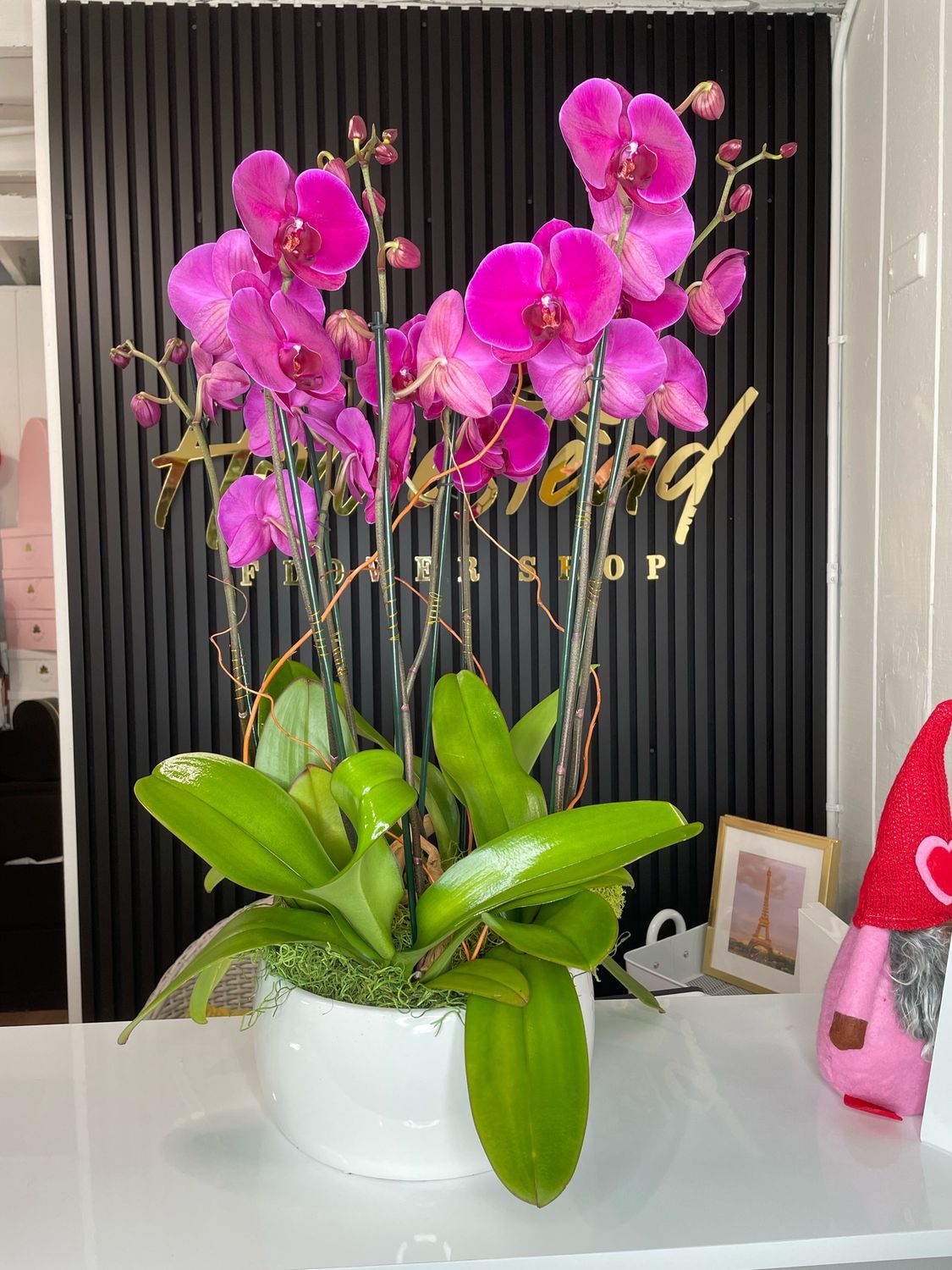 Orchid arrangement Purple