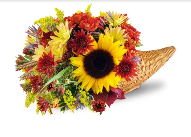 Thanksgiving Cornucopia