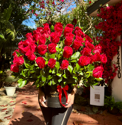 Box of 50+ Fresh Roses