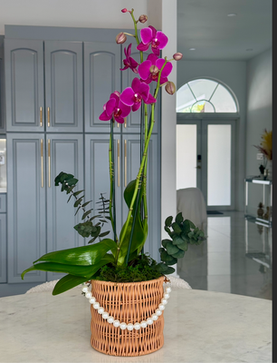 Orchids basket single