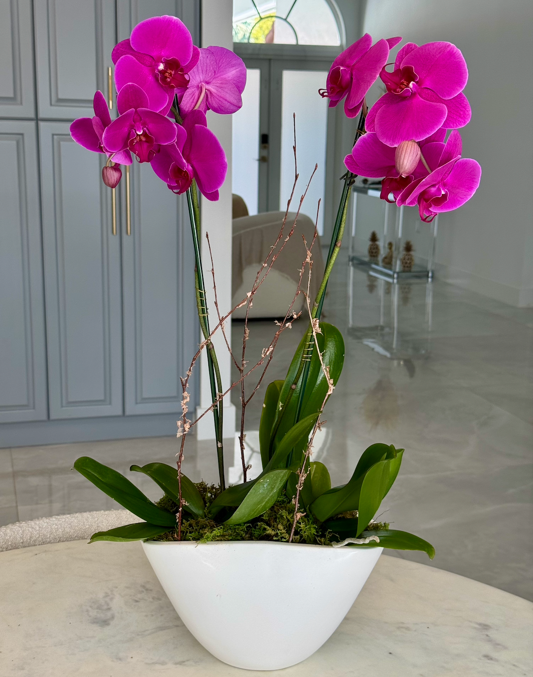 Elegant Orchid Duo